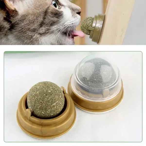 Catnipli Yenilebilir Kedi Nanesi Otu Oyun Topu Oyuncağı